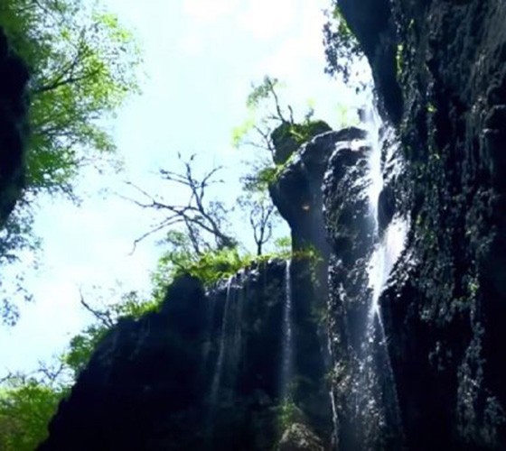 青山绿水，白龙江畔江畔息白鹭，两岸绿橄榄入眼的都是纯朴自然枝上花开，春来水暖鱼虾戏水，鸟语花香心中充满着舒畅之感祥宇生态产业园，位于陇南市武..